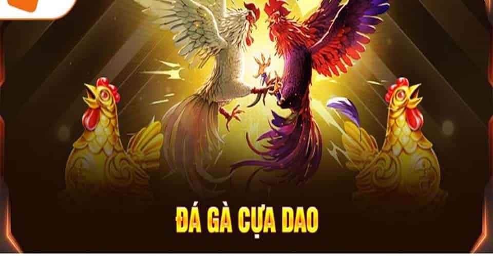 Chọi gà cựa dao mang đến tỷ lệ thắng lớn